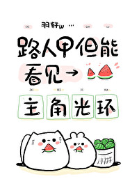主角一直是路人视角的小说